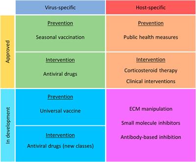 Targeting the Host Response: Can We Manipulate Extracellular Matrix Metalloproteinase Activity to Improve Influenza Virus Infection Outcomes?